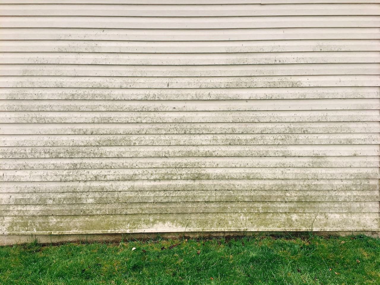 Vinyl siding dulled by a film of dirt and mildew before a soft wash