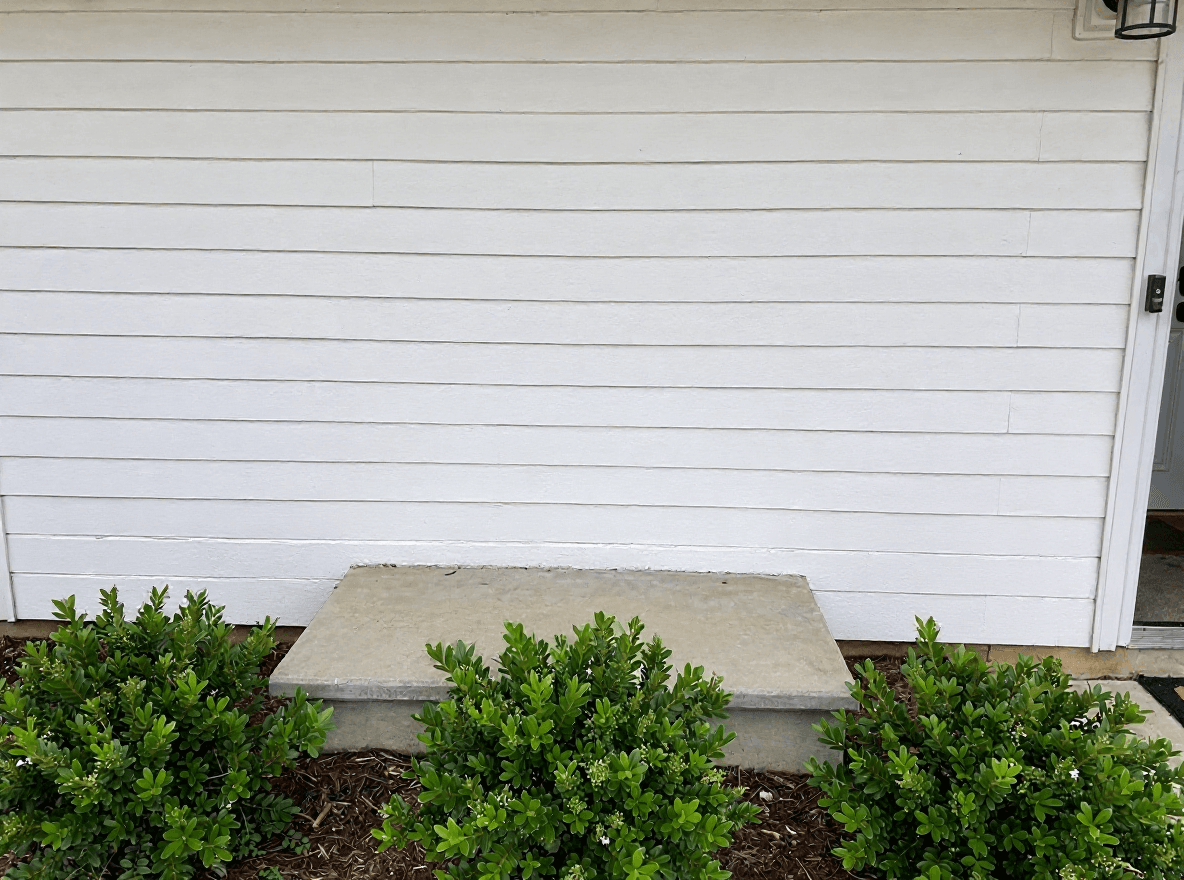 The same entry wall uniformly clean after a Brisk soft wash